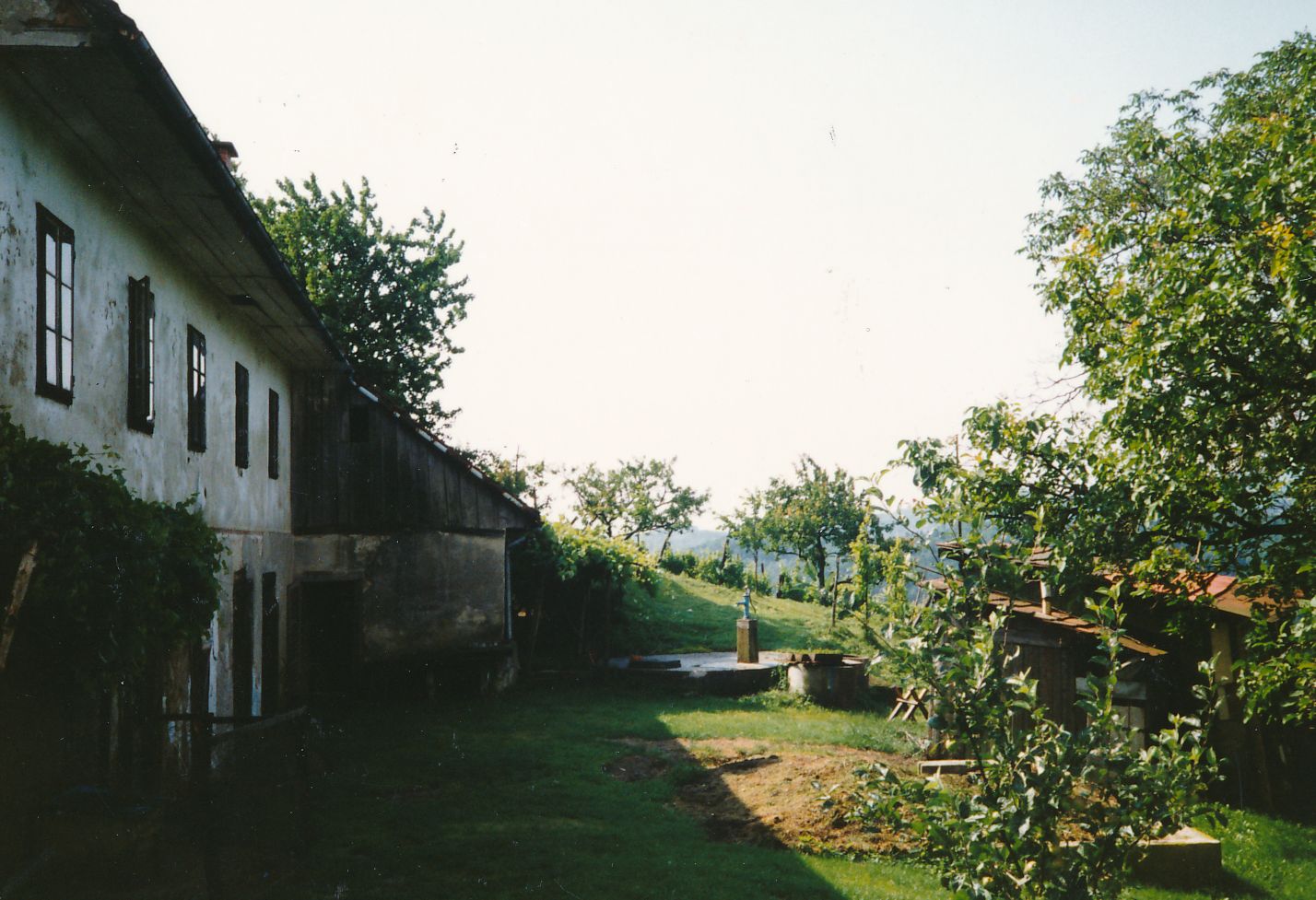eika image